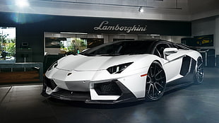 white and black Lamborghini hyper car, Lamborghini, Lamborghini Aventador