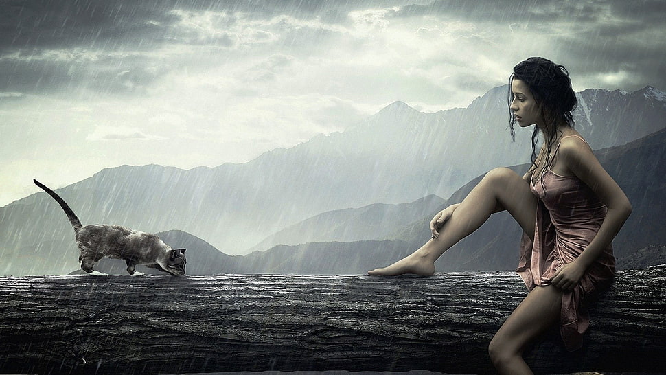 man sits on tree trunk front of gray cat while raining HD wallpaper