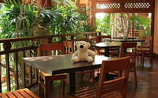 white bear plush toy on dining table nea bamboo plant