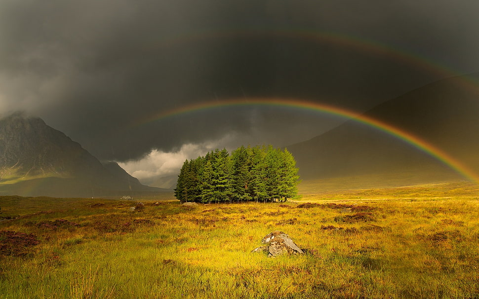 rainbow illustration HD wallpaper