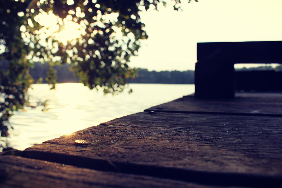 brown wooden boat dock, water, wood, Sun, sunset HD wallpaper