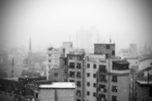 gray concrete buildings, snow, snowdrops, monochrome