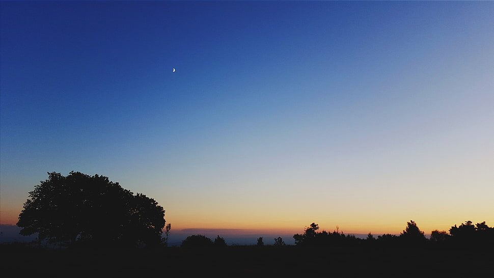 black flat screen computer monitor, landscape, sunset, trees, sky HD wallpaper