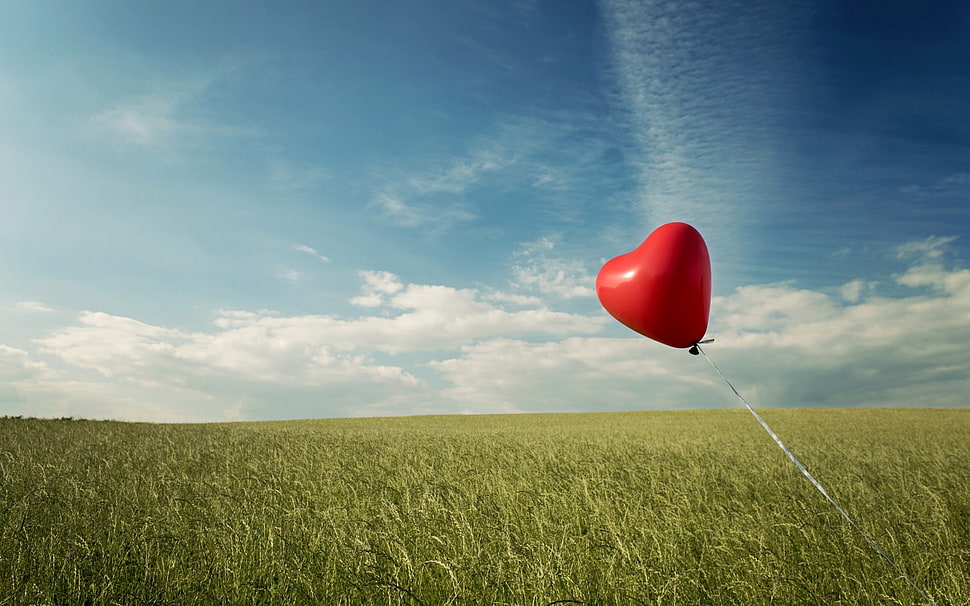 heart-shaped red balloon HD wallpaper