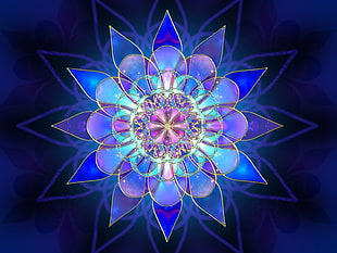blue and purple mandala flower wallpaper