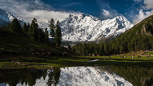 snow coated mountain, mountains, snow, forest, trees