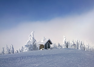 winter weather house surrounded by trees, tod mountain HD wallpaper
