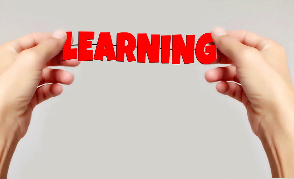 person holding Learning emblem HD wallpaper