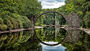 gray bridfge, Bridge, Arch, Trees