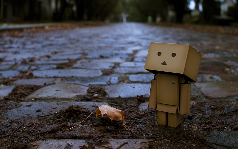 brown cardboard doll near leaf HD wallpaper