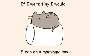 gray cat on white pillow illustration HD wallpaper
