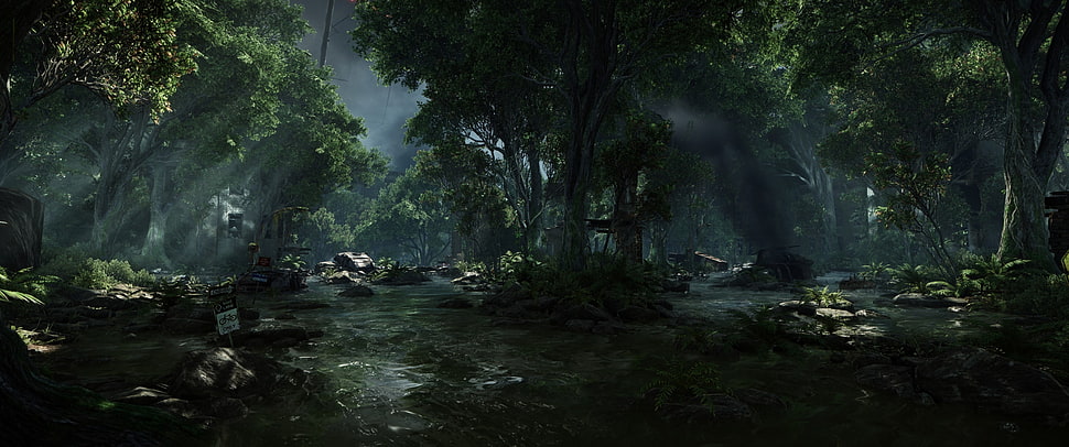 forest trail, Crysis 3, video games, forest, stream HD wallpaper