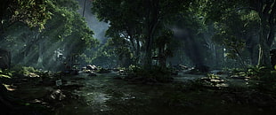 forest trail, Crysis 3, video games, forest, stream