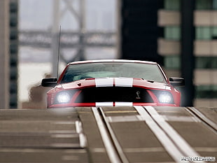 red and white car, Ford Mustang, Shelby Cobra