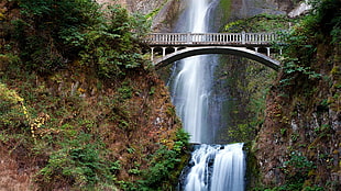 waterfalls, waterfall, Multnomah Falls