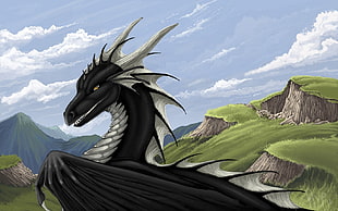 black and white dragon illustration, dragon HD wallpaper