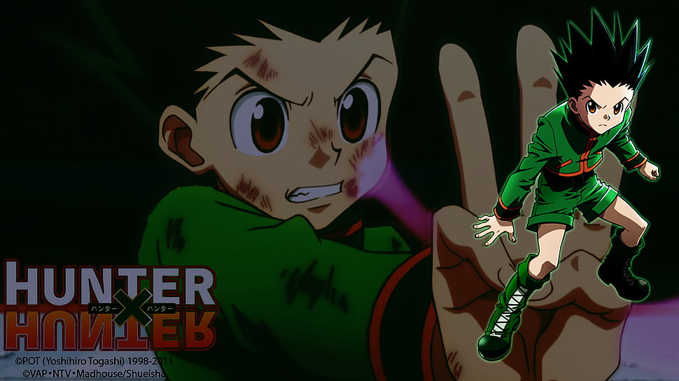 Hunter digital wallpaper, Hunter x Hunter, Gon Freecss , Gon Freecs HD wallpaper