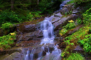waterfalls near plants, nature, water, photography, landscape HD wallpaper