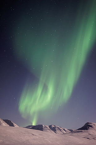 Aurora light, nature, aurorae, snow HD wallpaper