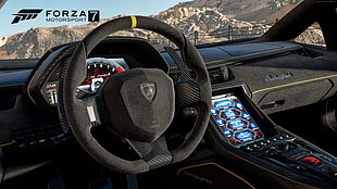 black Forza 7 steering wheel