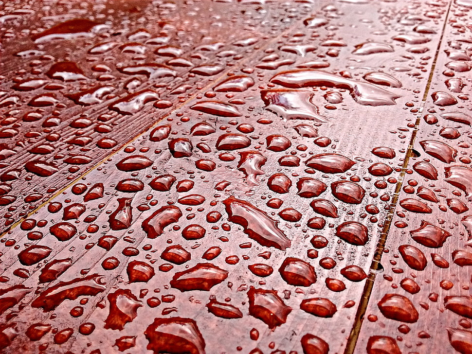 Drops,  Surface,  Close-up HD wallpaper
