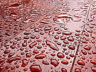 Drops,  Surface,  Close-up HD wallpaper