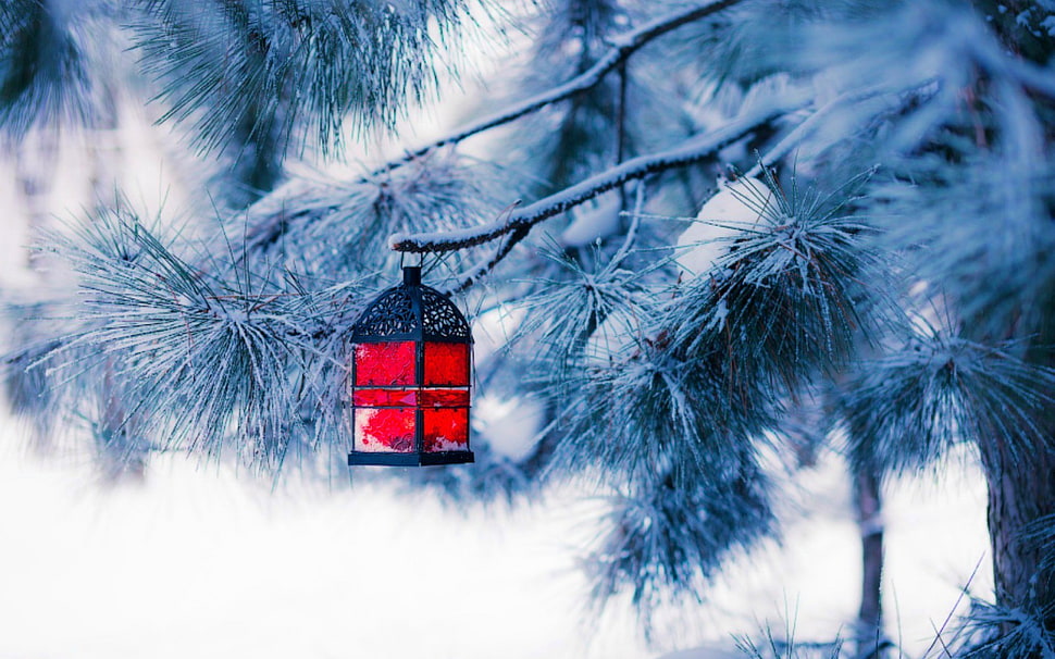 black hanging lantern, winter HD wallpaper