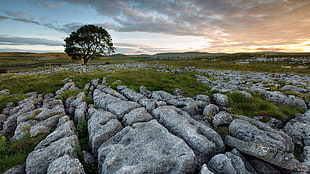 grey concrete rock on open field with trees, landscape, trees, clouds, sky