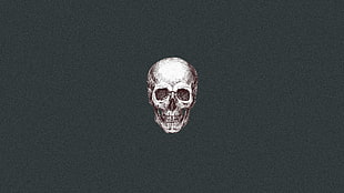 gray skull artwork, skull