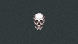 gray skull artwork, skull