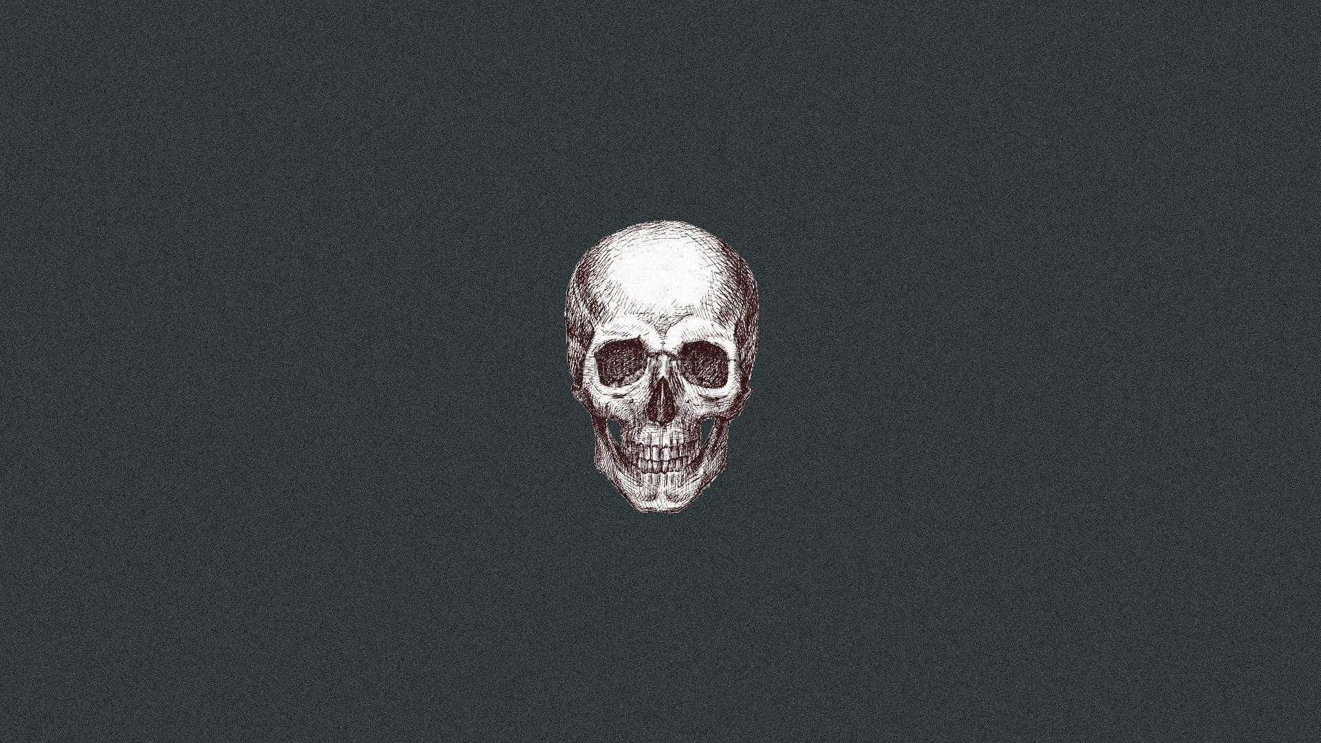 gray skull artwork, skull HD wallpaper.