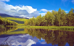 body of water in the middle of tall green trees facing mountain under blue sky