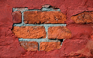 photo of orange brick wall
