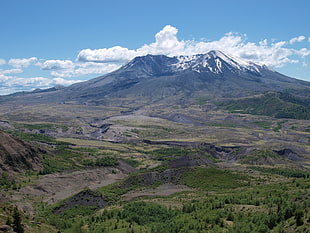 green pine trees, Mount  St.  Helens, volcano, mountains, wilderness