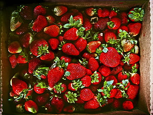 box of strawberries, Strawberries, Berries, Ripe