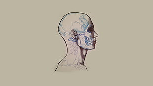human head with skeleton tattoo painting, skull, minimalism, artwork