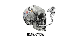gray skeleton skull illustration, abstract, skull, smoke, death
