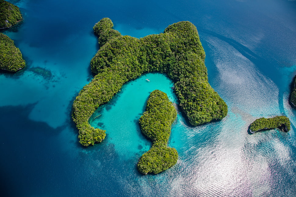 aerial photography of green island with blue sea HD wallpaper
