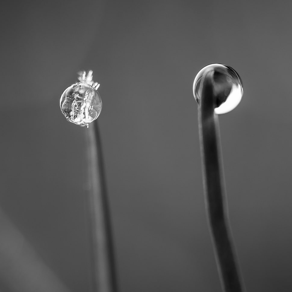 clear round shape ornament HD wallpaper