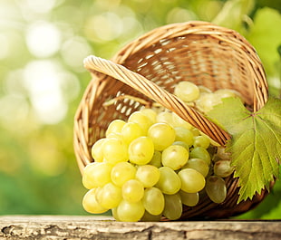 selective focus photography of grapes HD wallpaper