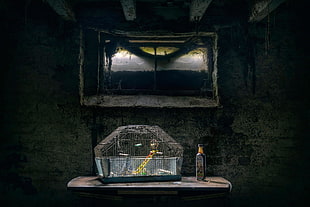 rectangular gray metal pet cage, room, birdcage