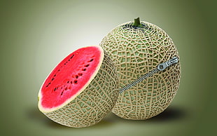 green melon fruit