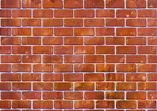 brick wall, bricks HD wallpaper