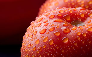 close-up photo of red apple HD wallpaper