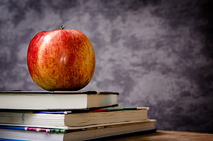 red apple on books HD wallpaper