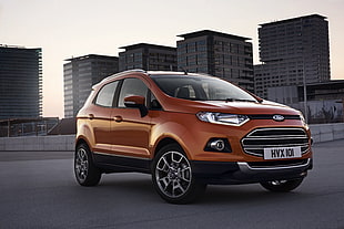 brown Ford Ecosport