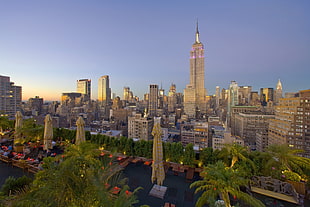 Empire State Building, New York, cityscape, city, New York City HD wallpaper