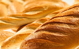 closeup photograph of baked bread