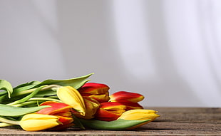 yellow and red Tulip flower bouquet