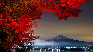 Mount Fuji, Japan HD wallpaper